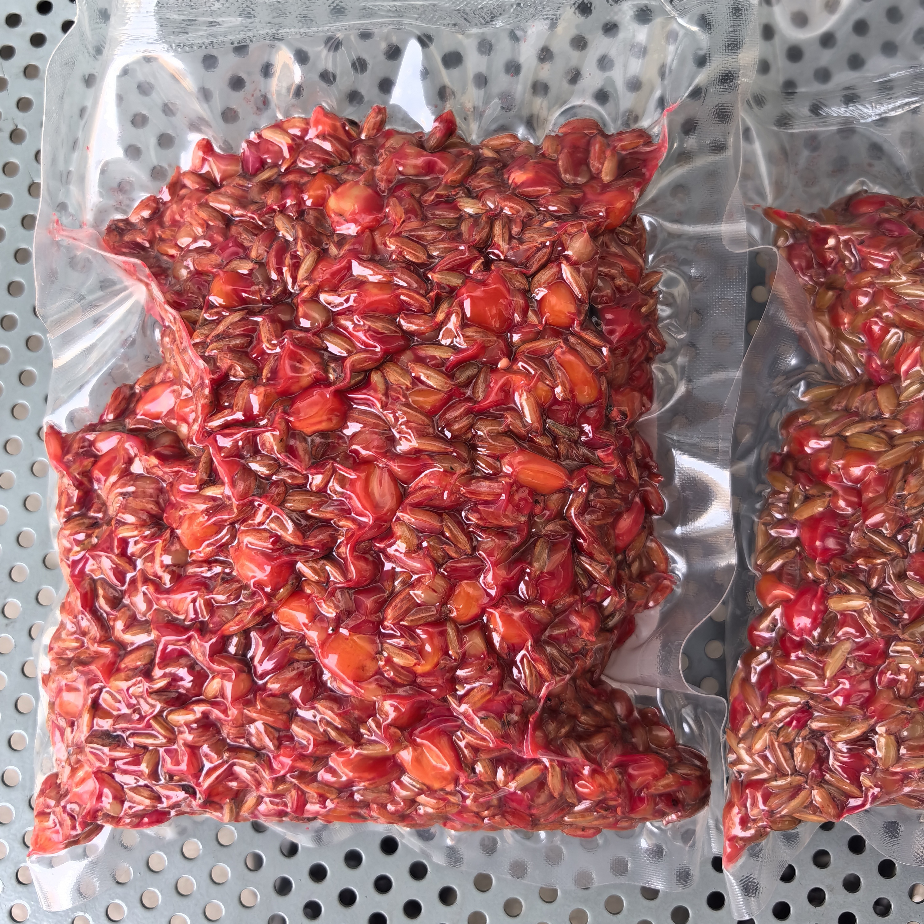 群主自制蜂蜜甜香谷麦