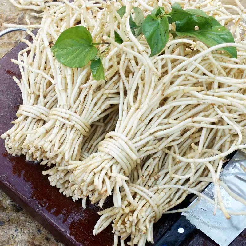 包邮现挖现发新鲜鱼腥草折耳根鲜嫩野生蔬菜折耳根商用批发