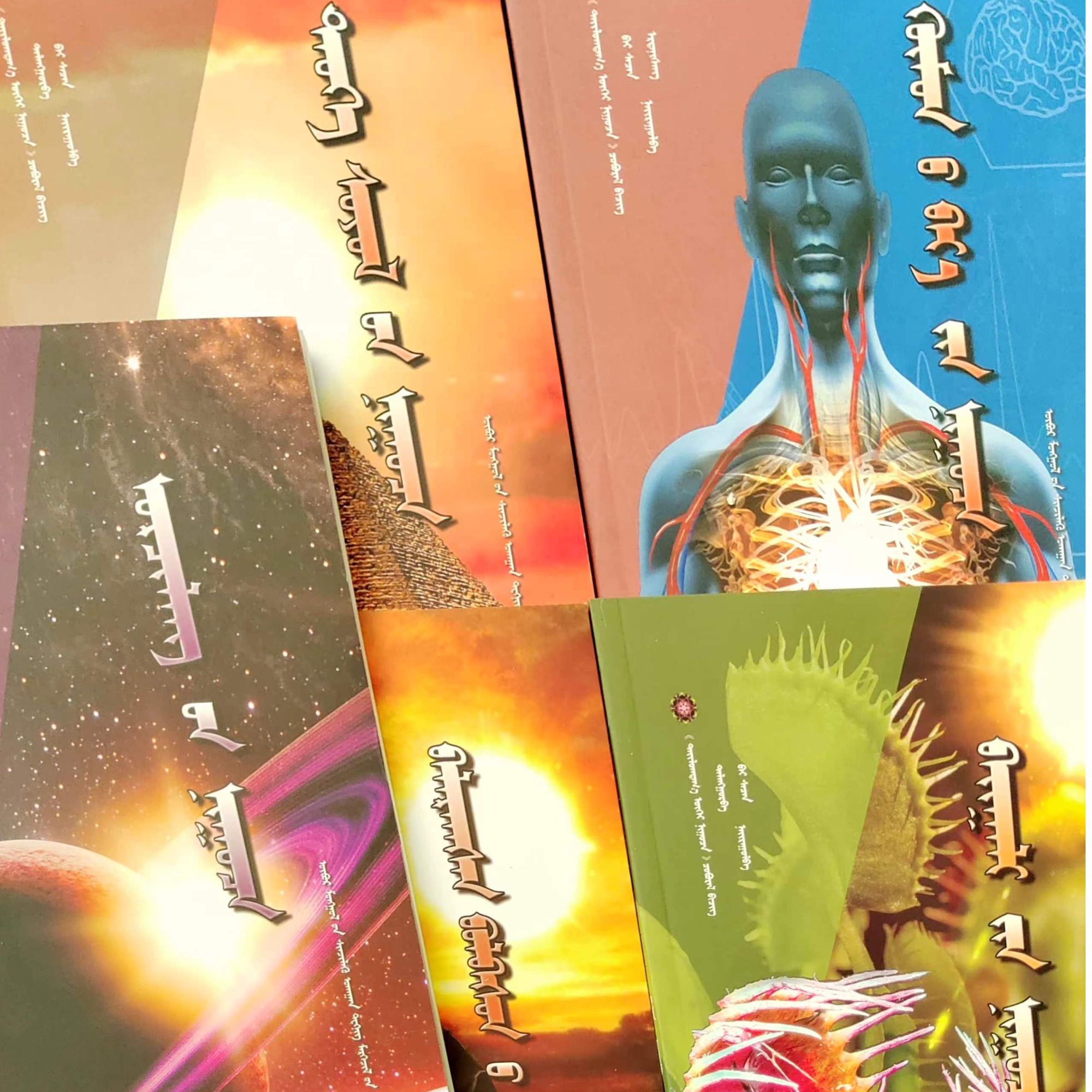 没落文明之谜（一套5本）:蒙古文书籍