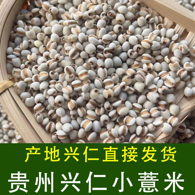 贵州优选小薏米新货药食用新鲜薏仁米正宗兴仁意米农家自产苡米仁