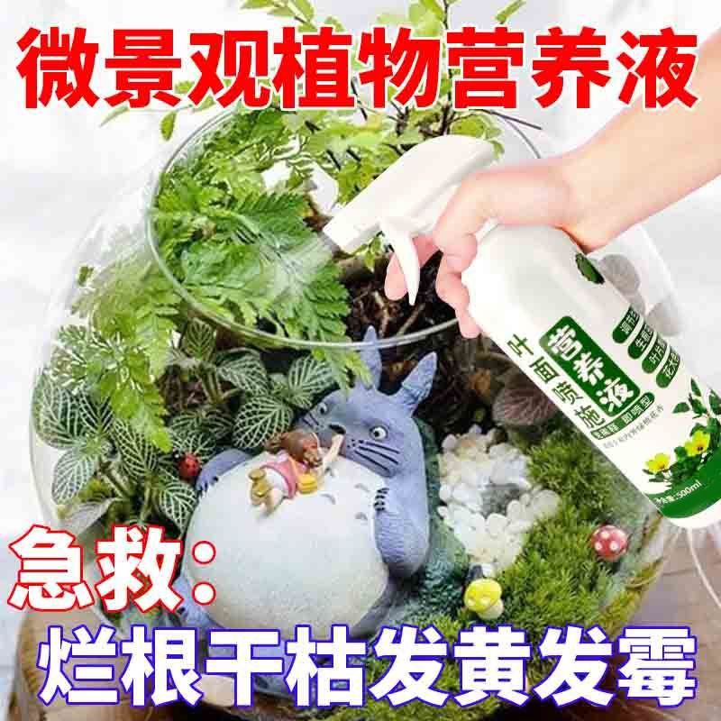 微景观植物营养液迷你植物生态瓶土壤网纹草蕨类黄叶烂根专用肥料