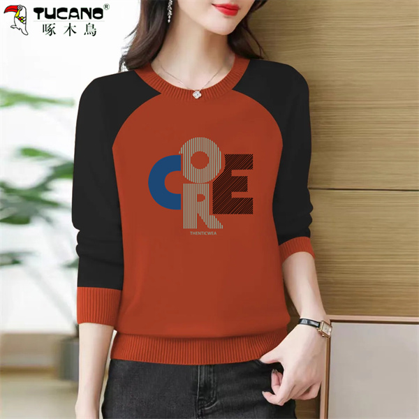 【啄木鳥】纯棉加绒加厚圆领卫衣秋冬女设计感插肩宽松长袖拼接