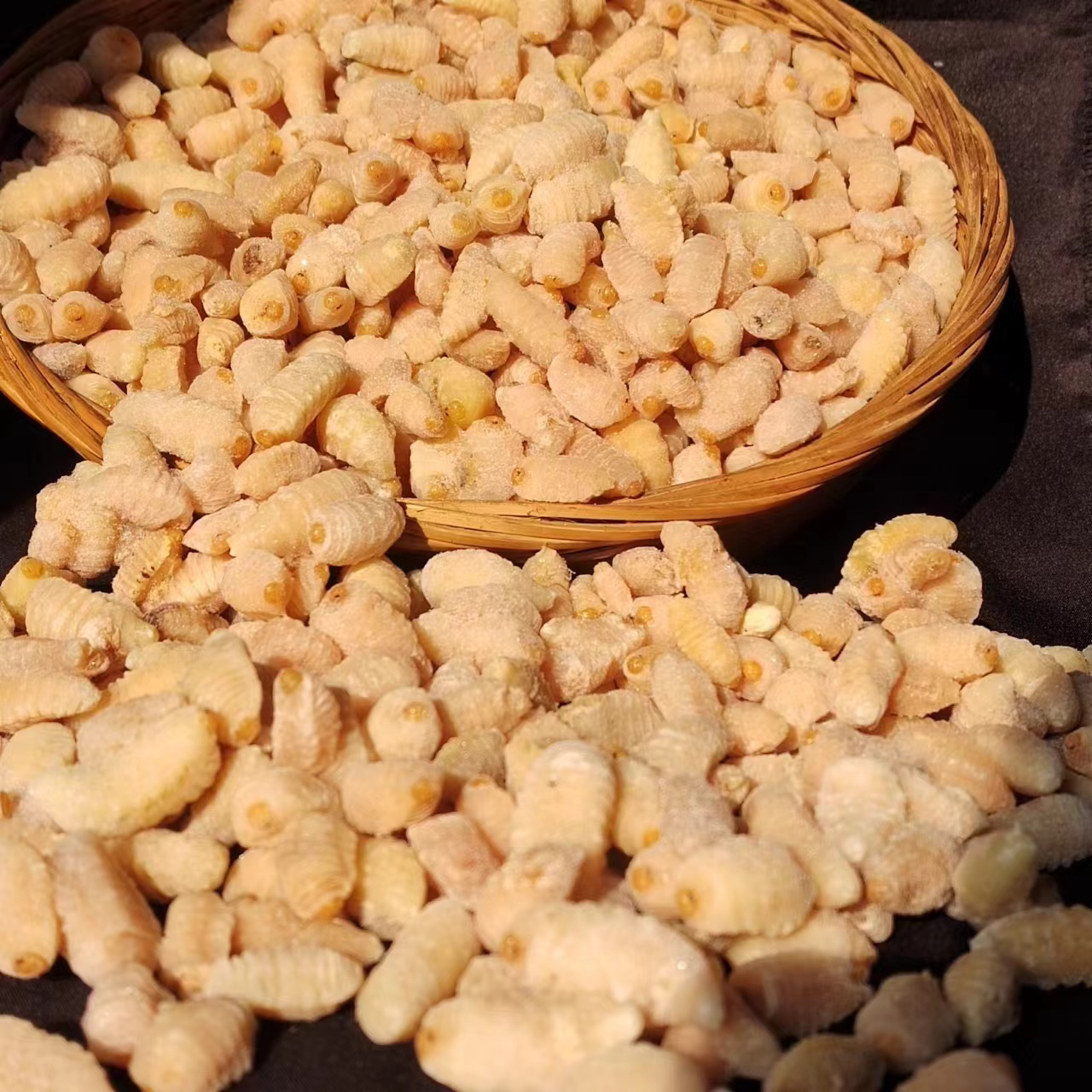 树蜂土蜂三级去内脏蜂蛹冰球地窖老式毛慈菇杀猪菜油豆腐