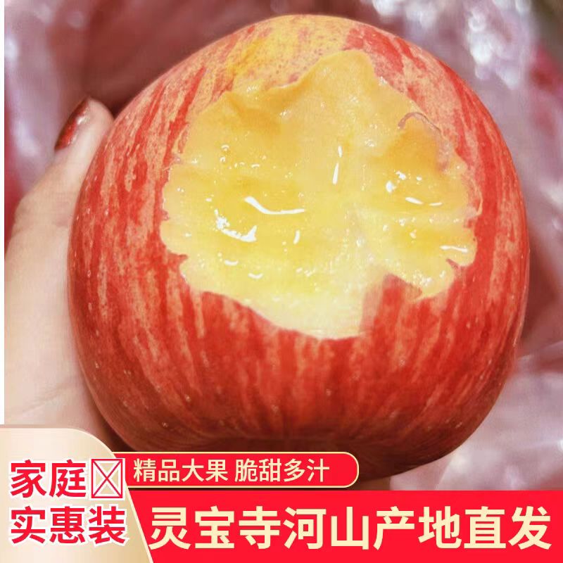 正宗灵宝寺河山红富士10斤苹果 脆甜多汁香甜可口果园直发