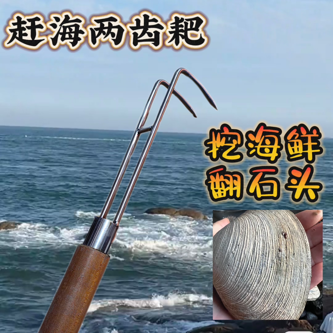 大噶挠  两齿挠 不锈钢 不变形 二指挠赶海推荐