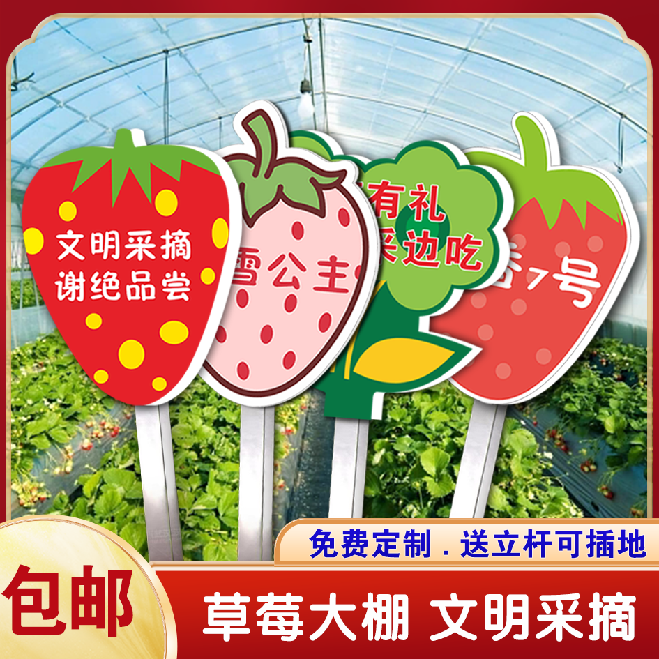 草莓园大棚文明采摘草莓可插地竖排标语警示牌温馨提示免费定制做