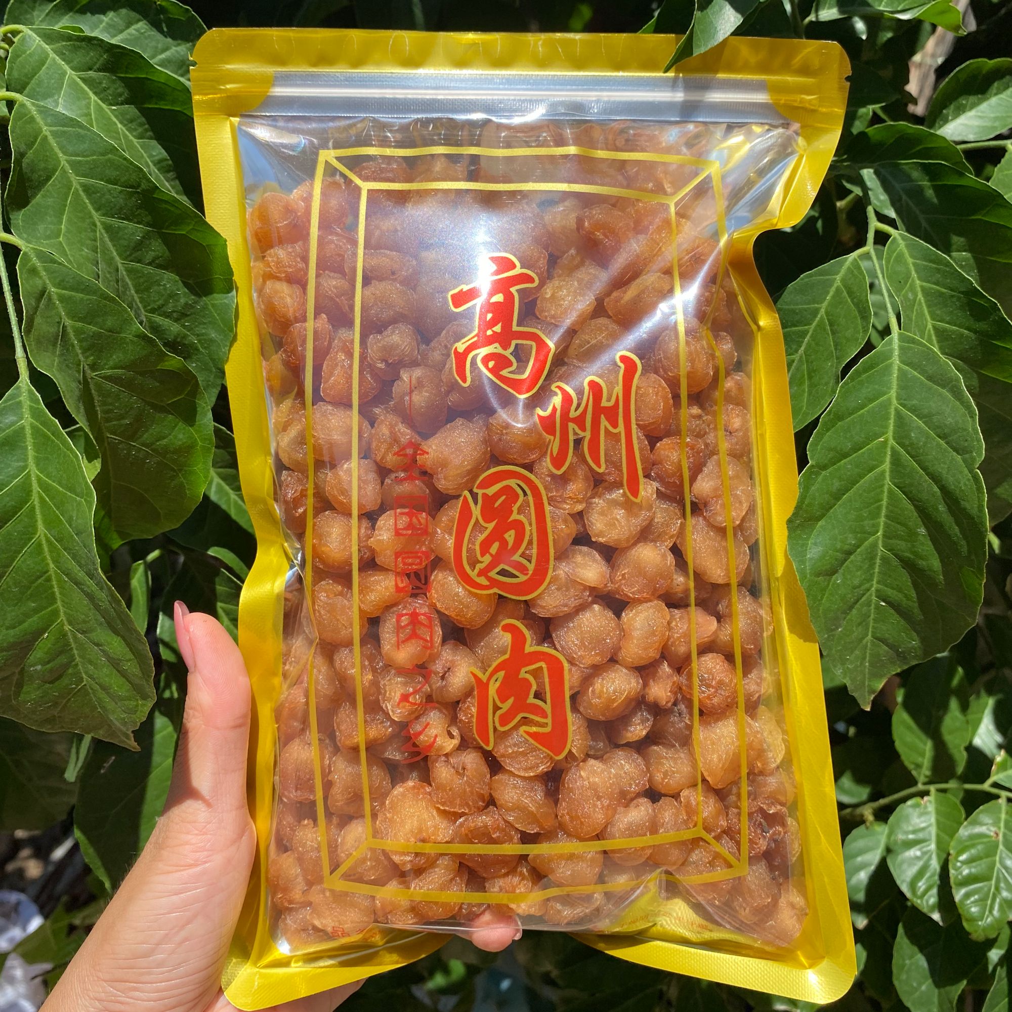 （桂圆肉）高州新货桂圆肉500g老树无核无添加龙眼肉250g袋装新鲜