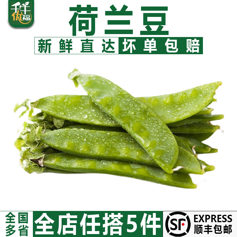 千牛优福新鲜荷兰豆500g 新鲜蔬菜甜豆青豆菜豌豆 5件顺丰包邮
