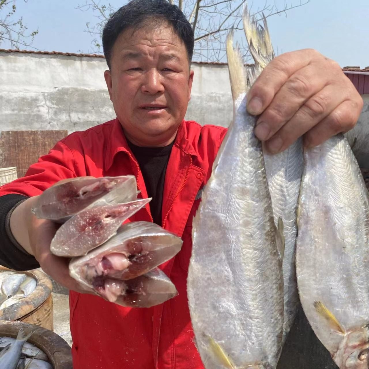 正宗山东咸白鳞鱼咸鳓鱼霉力鱼咸鱼鳓鲞鱼5斤装
