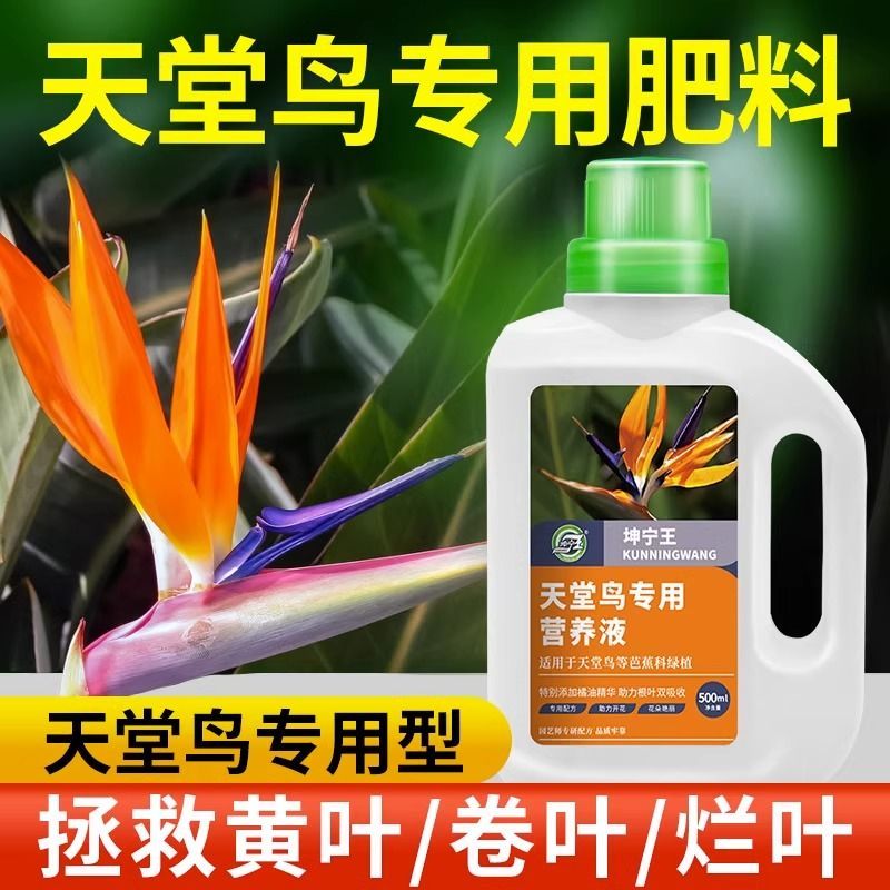 天堂鸟专用肥料天堂鸟营养液鹤望兰琴叶榕龟背竹黄叶卷边植物通用