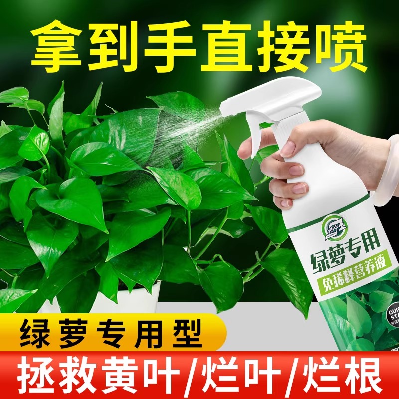 绿萝专用营养液免稀释液体肥料专用肥绿箩肥料家用用品土壤盆栽肥