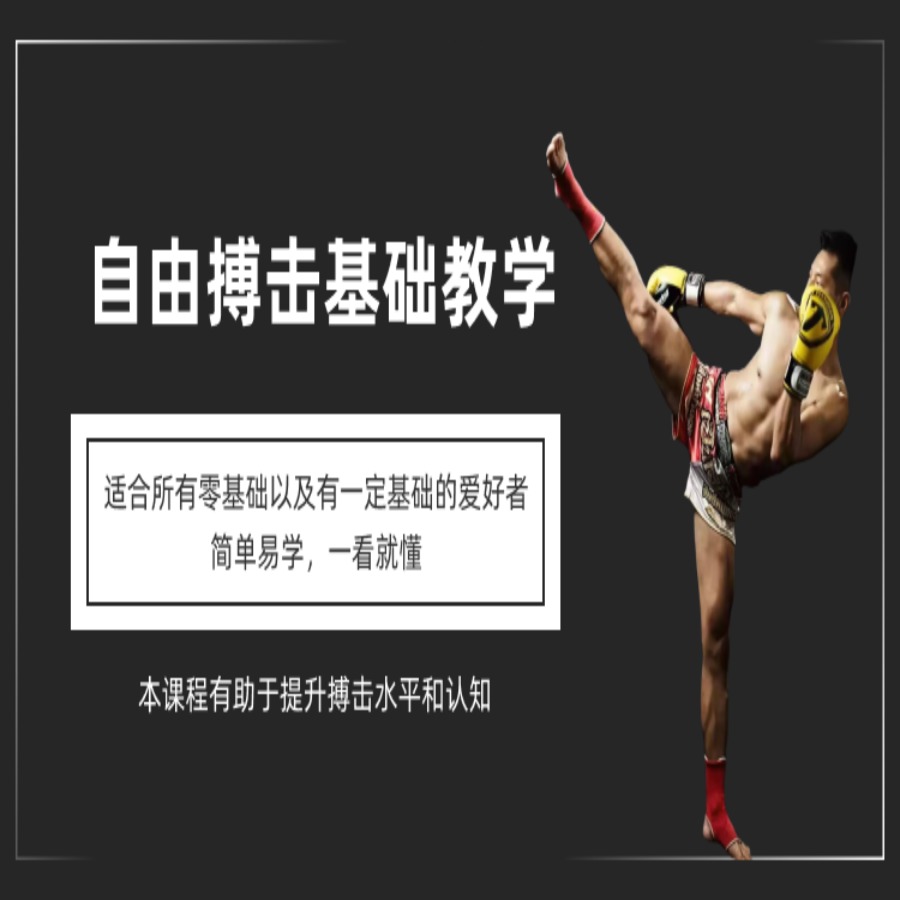 自由搏击基础教学