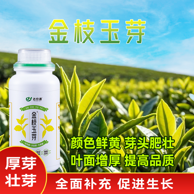 金枝玉芽高级叶面肥催芽显黄芽头肥厚紧实抗逆农用肥料