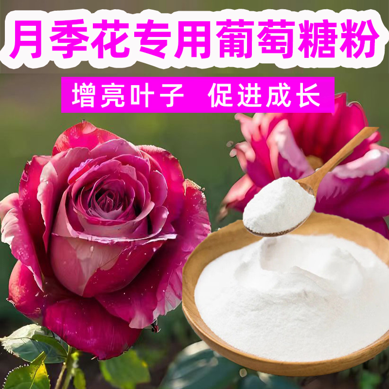 葡萄糖粉食品级月季花专用家用植物花卉叶片增亮补充糖分水产养殖