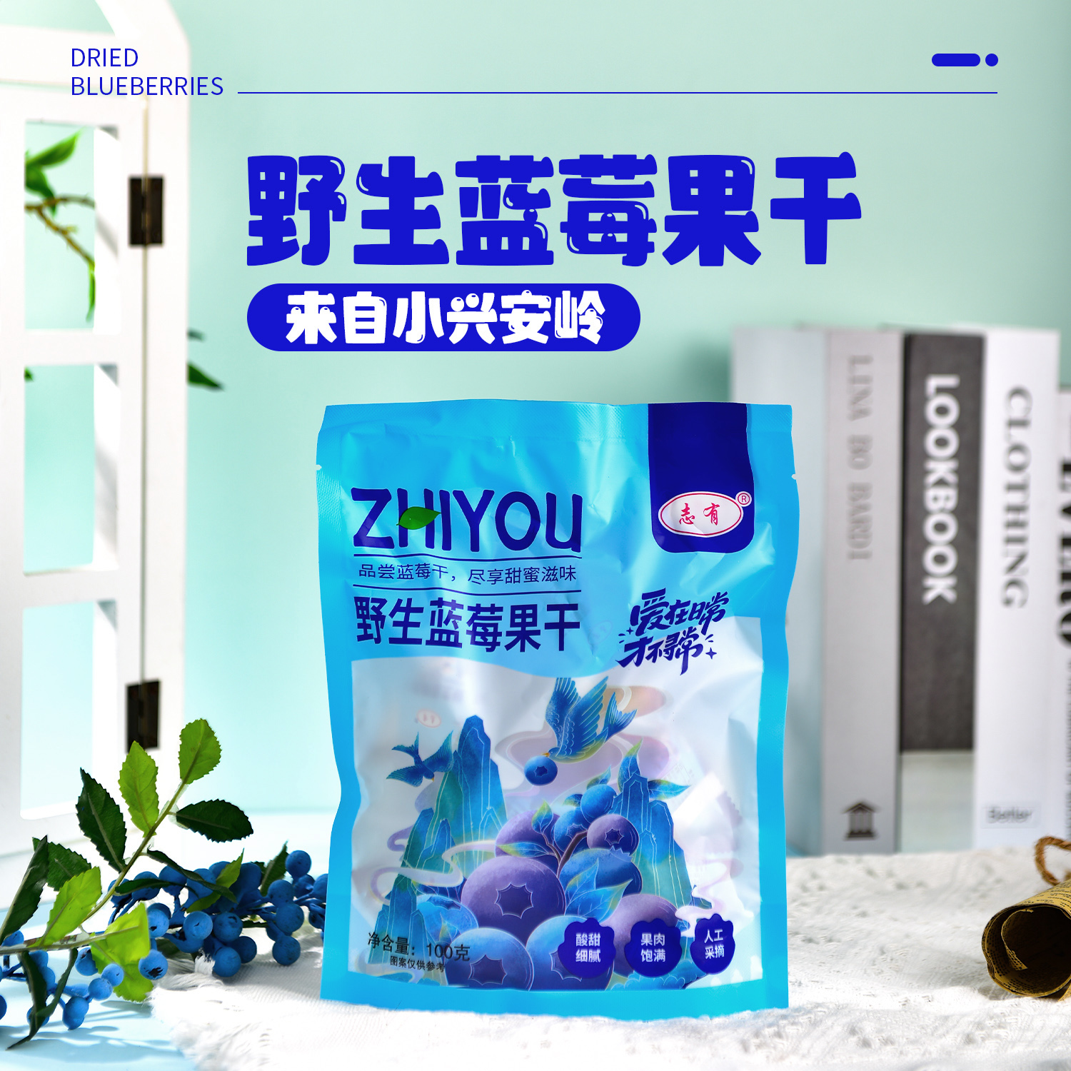 志有野生蓝莓果干蜜饯零食蓝莓干100g/袋到手5袋zht