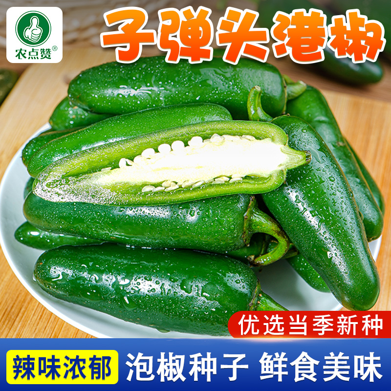 子弹头港椒种子 墨西哥辣椒种籽香辣贡椒泡椒咸菜专用蔬菜种孑