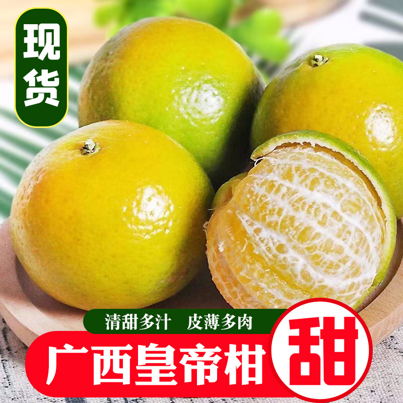 正宗广西皇帝柑贡柑新鲜大果当季采摘水果产地直发5/9斤橘子柑橘