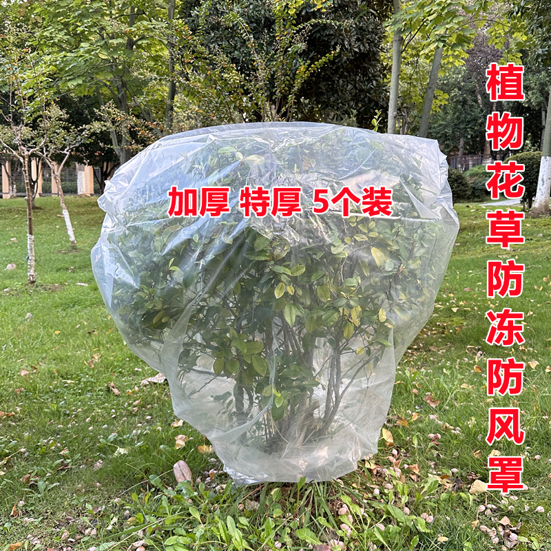 盆栽植物树苗防冻防尘透明防寒罩保护罩嫁接套树苗塑料袋保暖袋