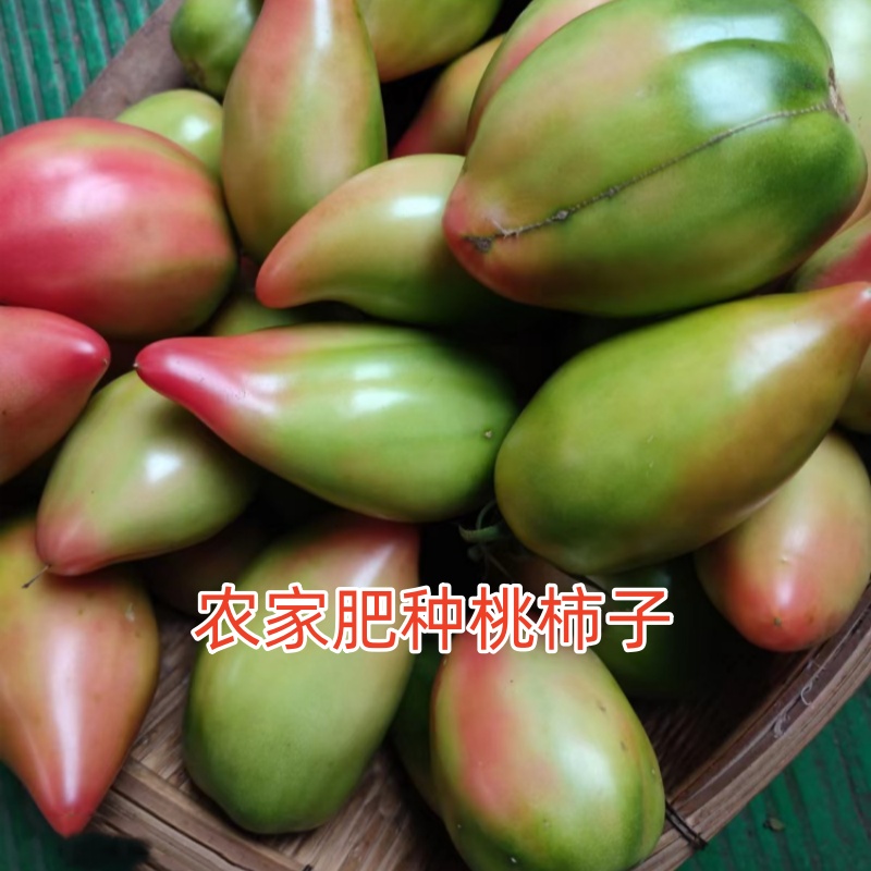 东北特产西红柿番茄桃柿子 虎皮柿子现摘发货水果柿子一箱5斤