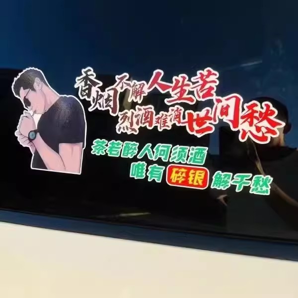 不解人生苦  难消世间愁    汽车车贴