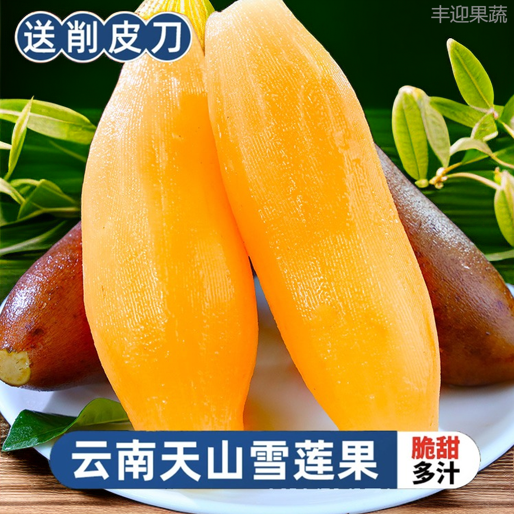 云南天山雪莲果黄心正宗现挖新鲜清甜脆爽应季水果产地直发坏包赔