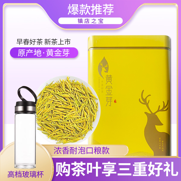 2025年新茶安吉黄金芽 高山原产地绿茶浓香鲜嫩A991983 250g/500g