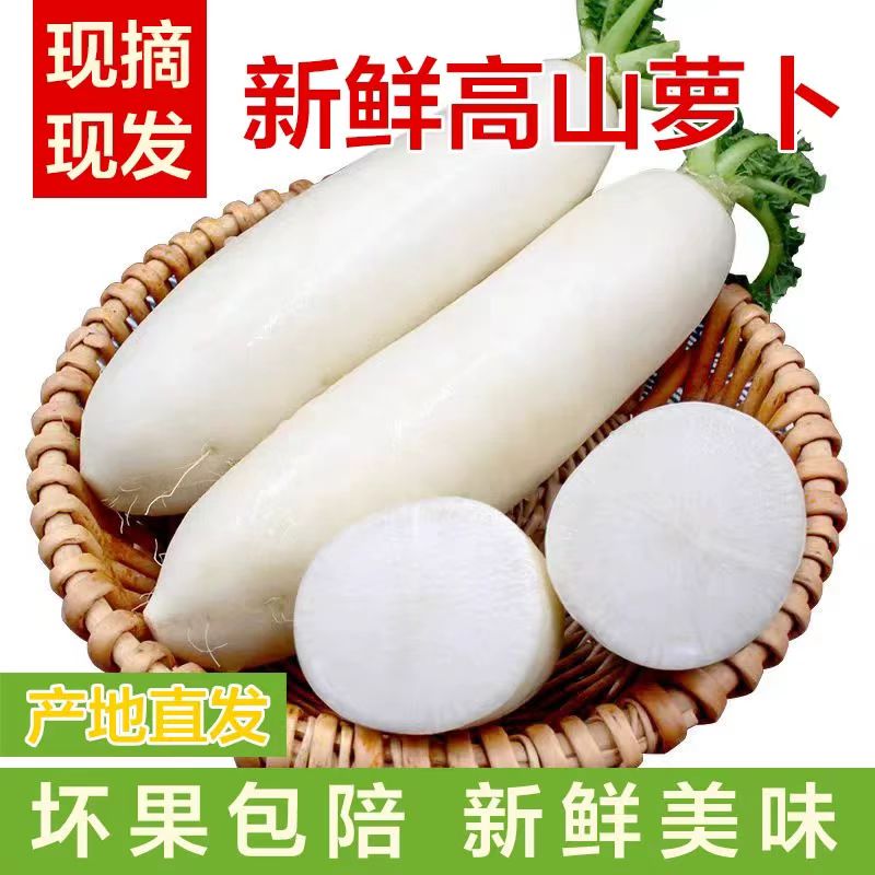 宜昌特产长阳大白萝卜高山白萝卜新鲜水果萝卜农家自种时令蔬菜