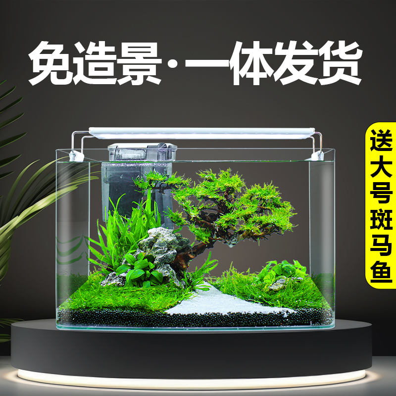 免造景养鱼水草新款鱼缸小型客厅玻璃家用自循环生态鱼缸全套