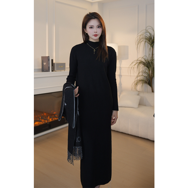 2025秋冬新款高个子长款毛衣裙女新款半高领过膝加长针织连衣裙