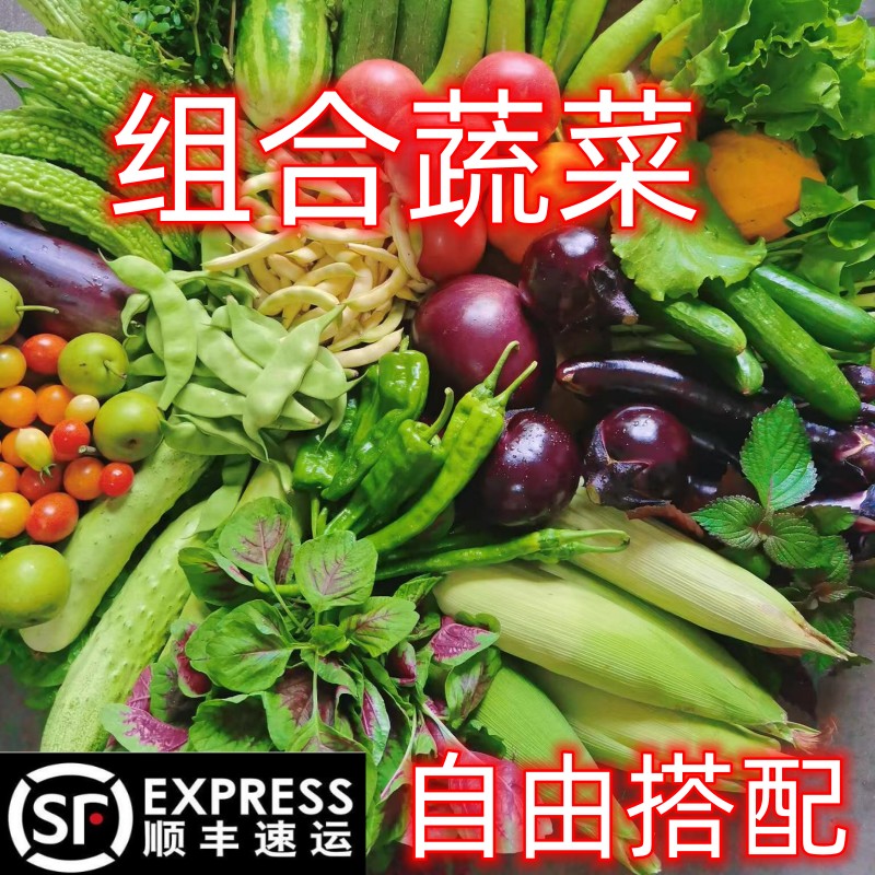 楚楚蔬菜自由组合自由搭配当季新鲜蔬菜现摘现发