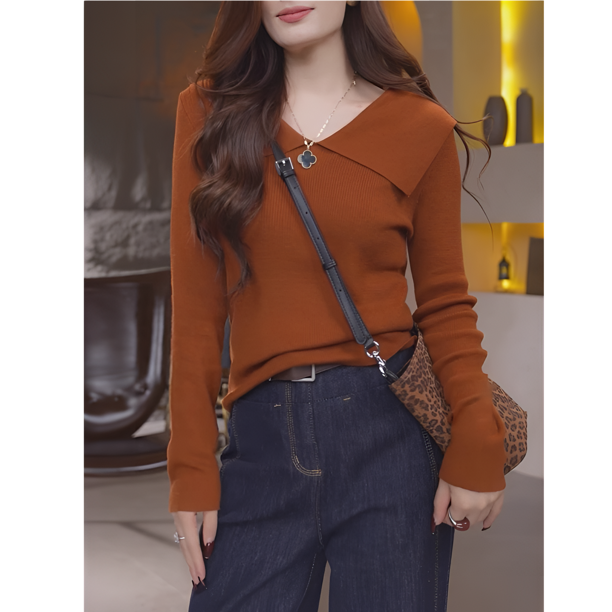 2025大翻领秋冬套头新款韩版时尚百搭显瘦洋气长袖上衣F6-32