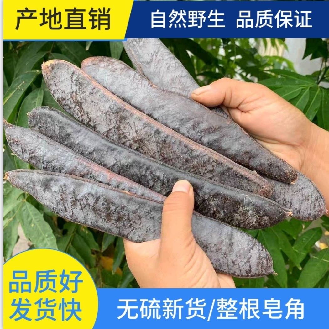 皂角野生 干皂角大皂角长皂角皂荚野生 天然洗发防脱500g包邮结婚