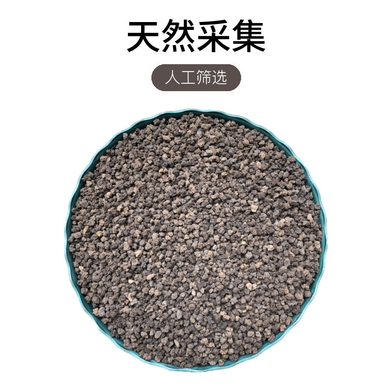 使用天然腐叶土有机肥兰花土兰花专用颗粒土兰花生长专用2斤装