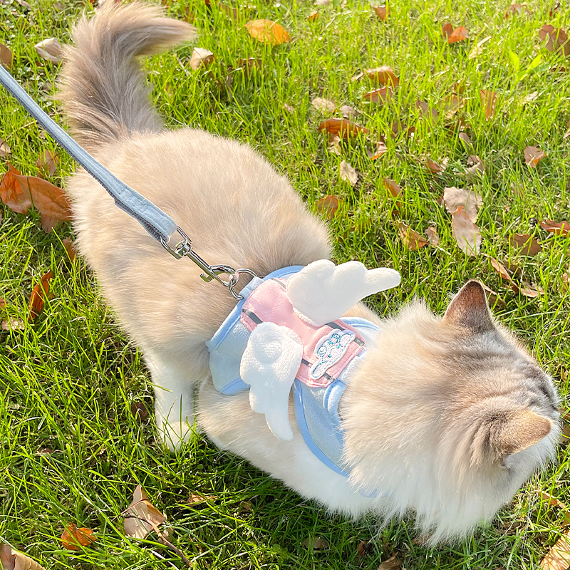 [达人]宠物猫咪胸背牵引绳防挣脱猫绳子遛猫链外出英短猫用品0816