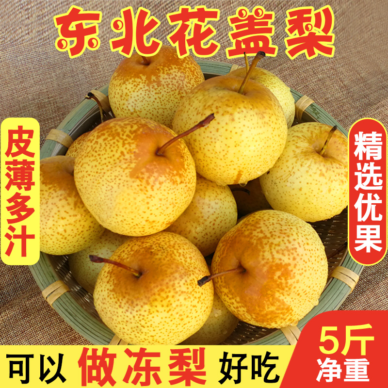 花盖梨  5斤包邮  软梨 可做冻梨  辽宁鞍山特产 秋子梨 孕妇水果