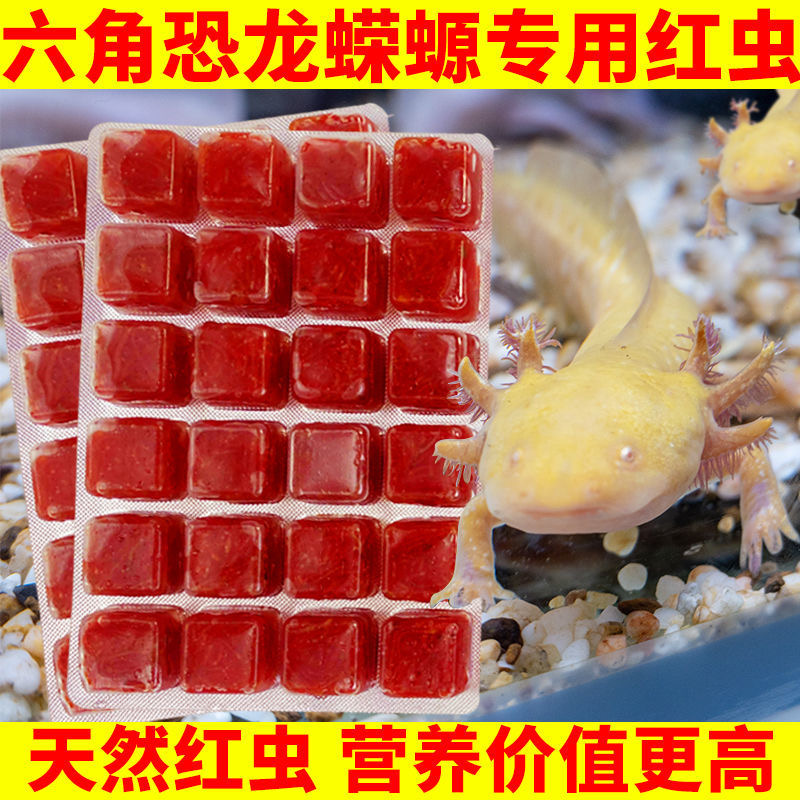 鱼食六角恐龙鱼饲料娃娃鱼蝾螈六六下底栖鱼专用红虫鱼粮鱼饵谷麦