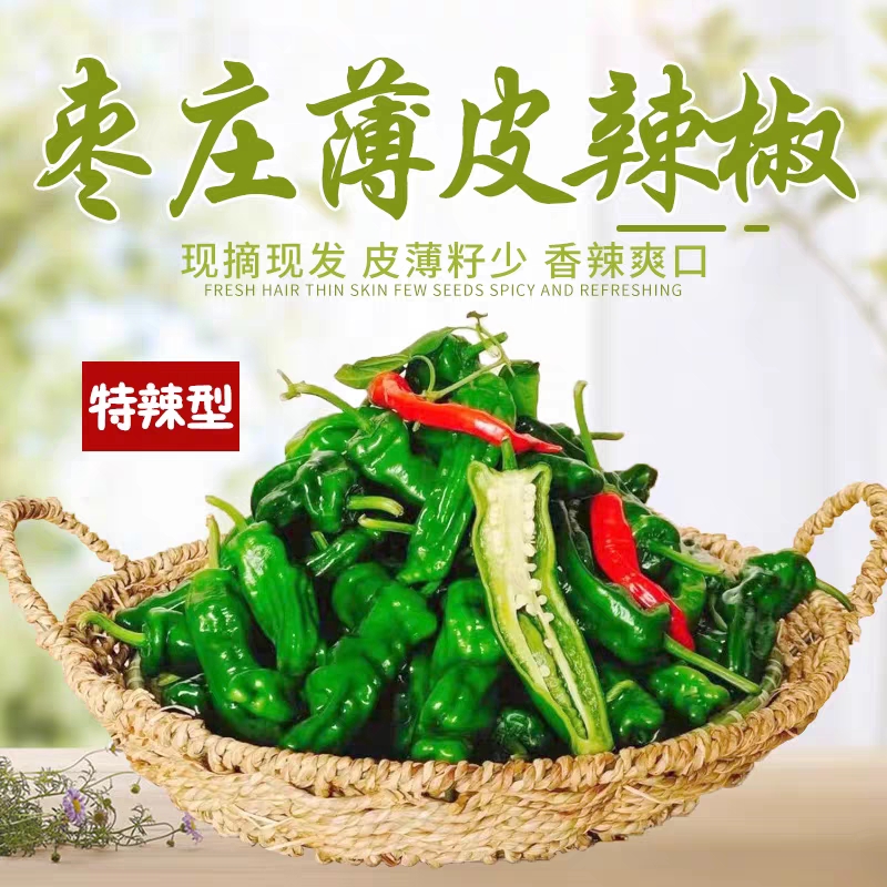 枣庄新鲜薄皮螺丝椒小皱皮土辣椒超辣特辣青辣椒现摘炒鸡辣椒