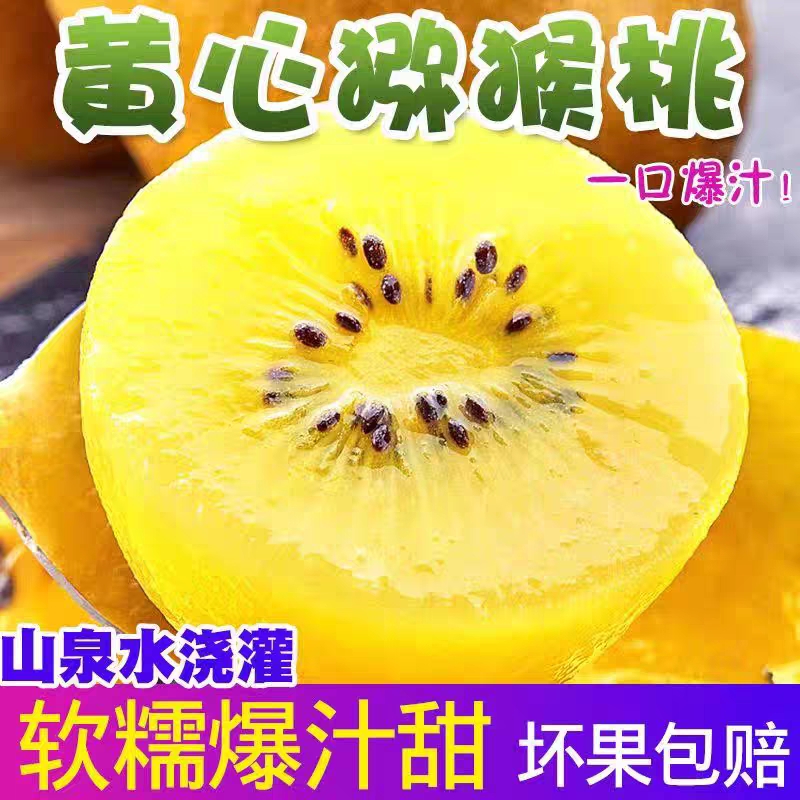 四川黄心猕猴桃蒲江奇异果新鲜水果应季泥猴桃弥胡桃整箱现摘现发