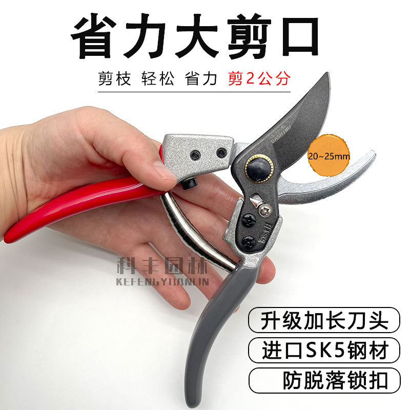 修枝专用剪刀修剪刀树枝修剪专用剪刀园艺剪子剪枝剪刀强力果树剪