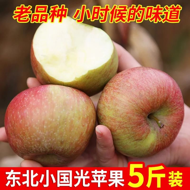 正宗小国光苹果5斤顺丰包邮新鲜水果辽南老品种小果光酸甜口5斤