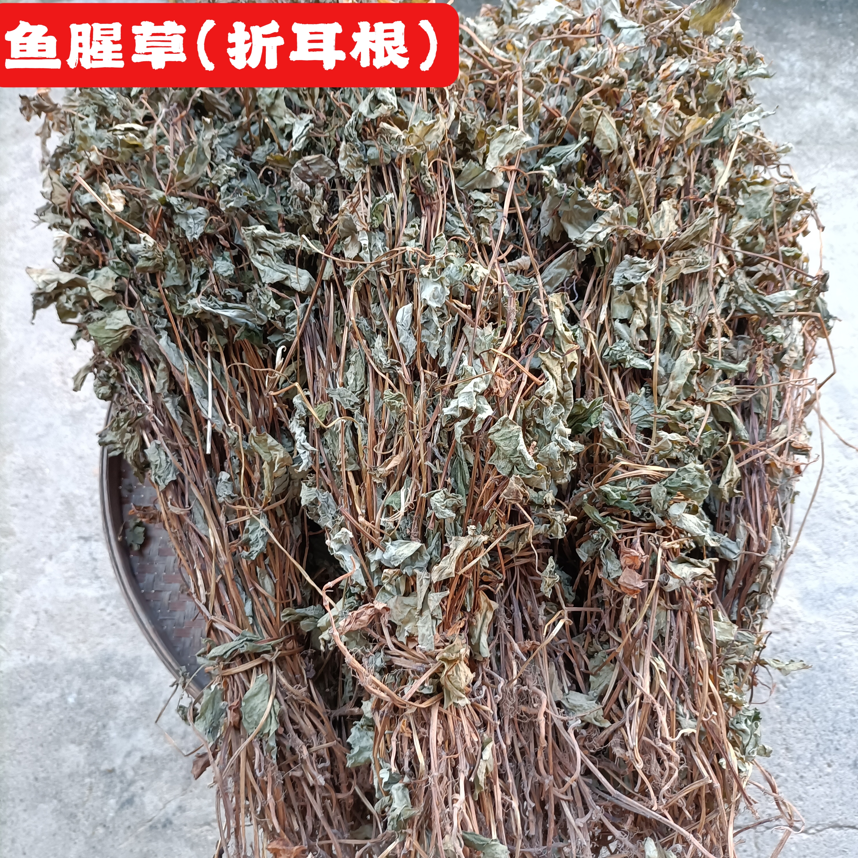 赣南蔬菜今年新鲜采摘晒干野生鱼腥草折耳根农村乡下自晒