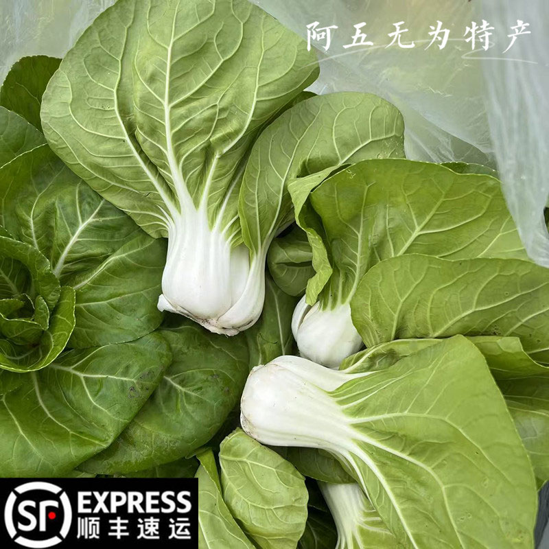 安徽无为特产新鲜蔬菜农家种的青菜霜降白菜1份2斤3斤5斤装包邮