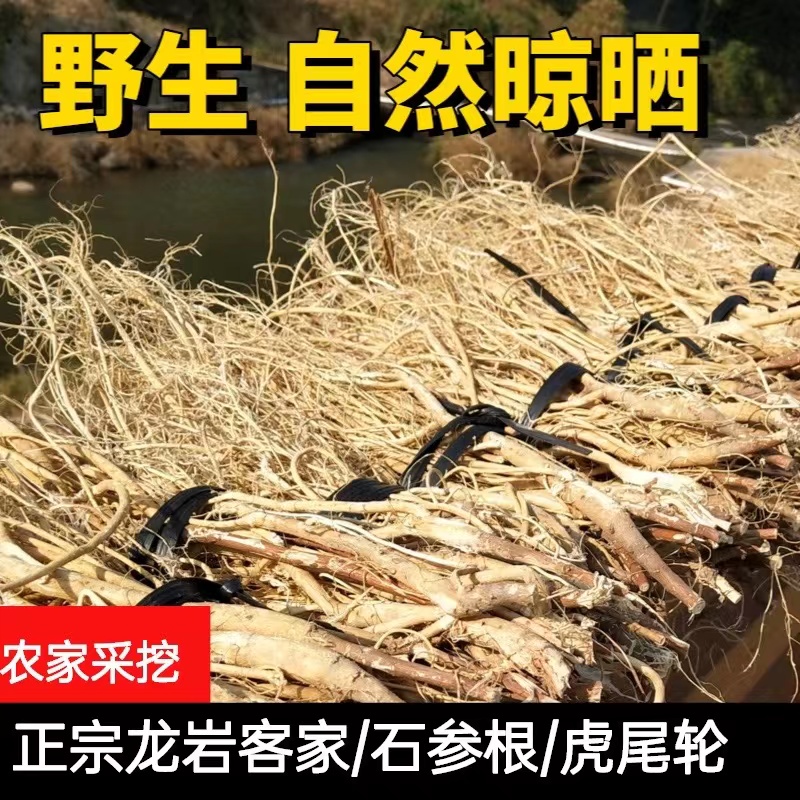 福建武平客家土特产新鲜干品石参根手工虎尾轮煲汤料250克