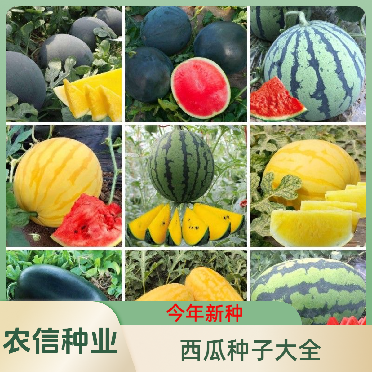 【满5元包邮】西瓜大全种子早熟易种植春天播种少籽多汁清甜西瓜