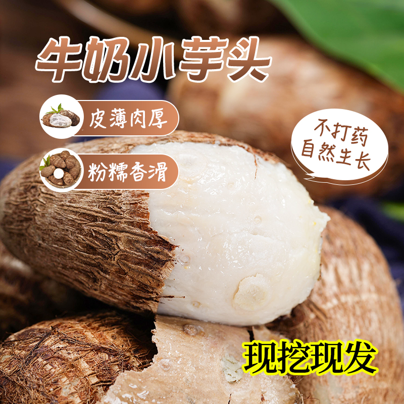 【直播专属】山东牛奶毛芋头艿芋小香芋甜糯柔滑产地直达新鲜精选