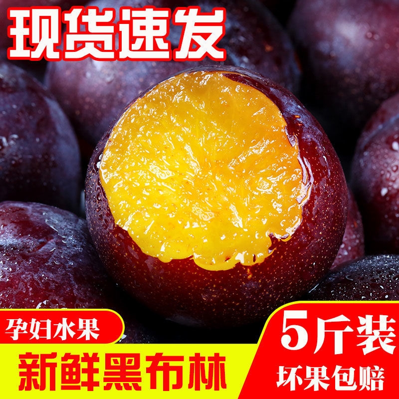 【净重5斤】陕西黑布林李子当季新鲜水果现摘现发水果软硬两吃