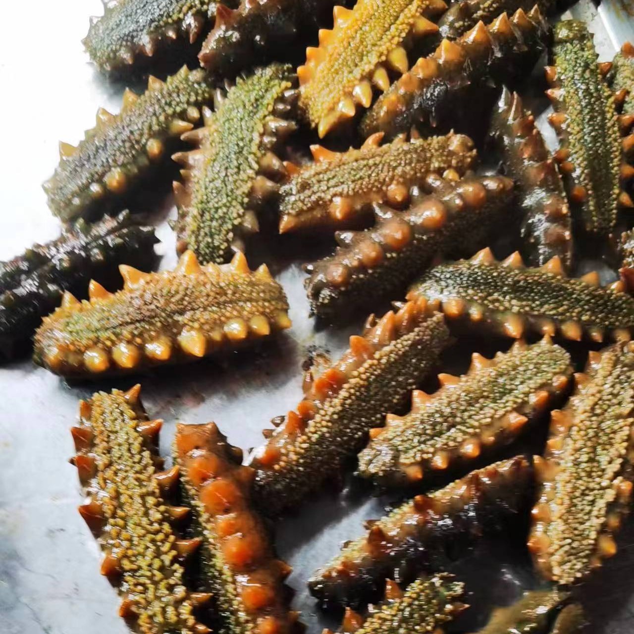 新鲜即食海参原汁原味，从大连发货顺丰包邮到家