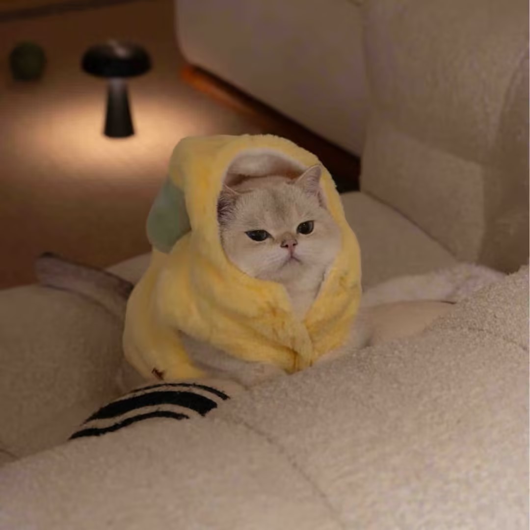 猫咪搞怪香蕉装狗狗秋冬衣服布偶英短金渐层猫咪可爱搞怪宠物衣服