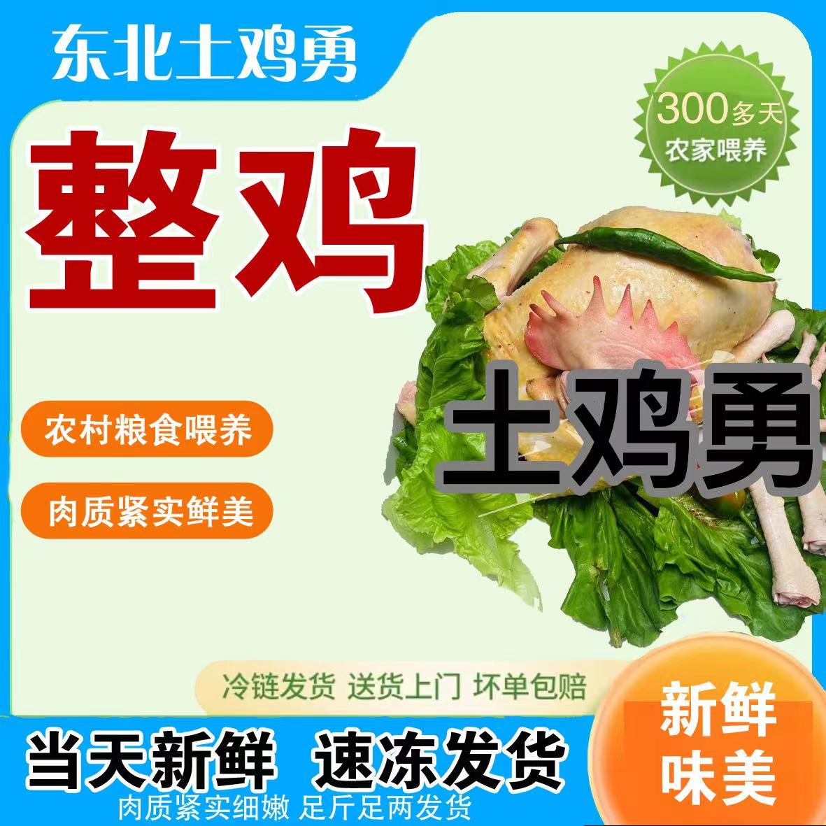 土鸡一只（顺丰空运-不要改地址-下单不退坏损赔）