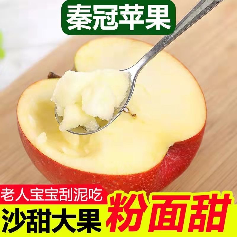 【A精选装80%红度】陕西高山秦冠苹果粉面甜老人宝宝辅食刮泥10斤装